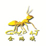淮南金蚂蚁工程装饰