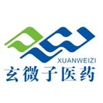 新疆玄微子医药有限公司