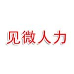 安徽见微人力有限公司