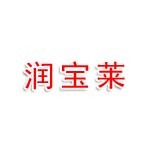 泰州润宝莱安全技术服务有限公司