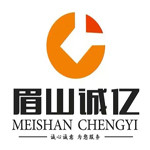 眉山市诚亿信息技术服务有限公司