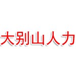 信阳大别山人力资源管理有限公司
