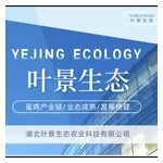 湖北省叶景生态农业科技有限公司