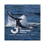 宁波鲸浪传媒科技有限公司