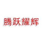 广州腾跃耀辉汽车科技有限公司