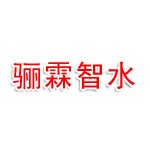 漳州骊霖智水科技有限公司