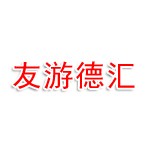 东莞友游德汇文化科技有限公司