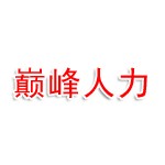 济源巅峰人力资源有限公司