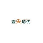 浙江壹尖培优教育科技有限公司