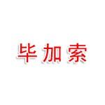 林芝毕加索建材科技有限公司