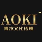 石家庄青木屿静文化传媒有限公司
