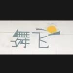 日照舞飞文化传媒有限公司