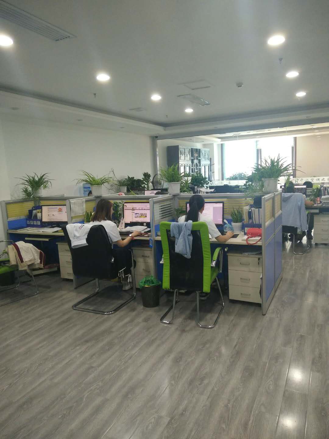 环境好，企业正规，同事和