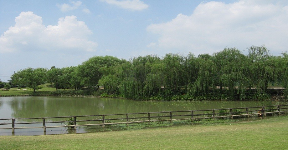 人工湖