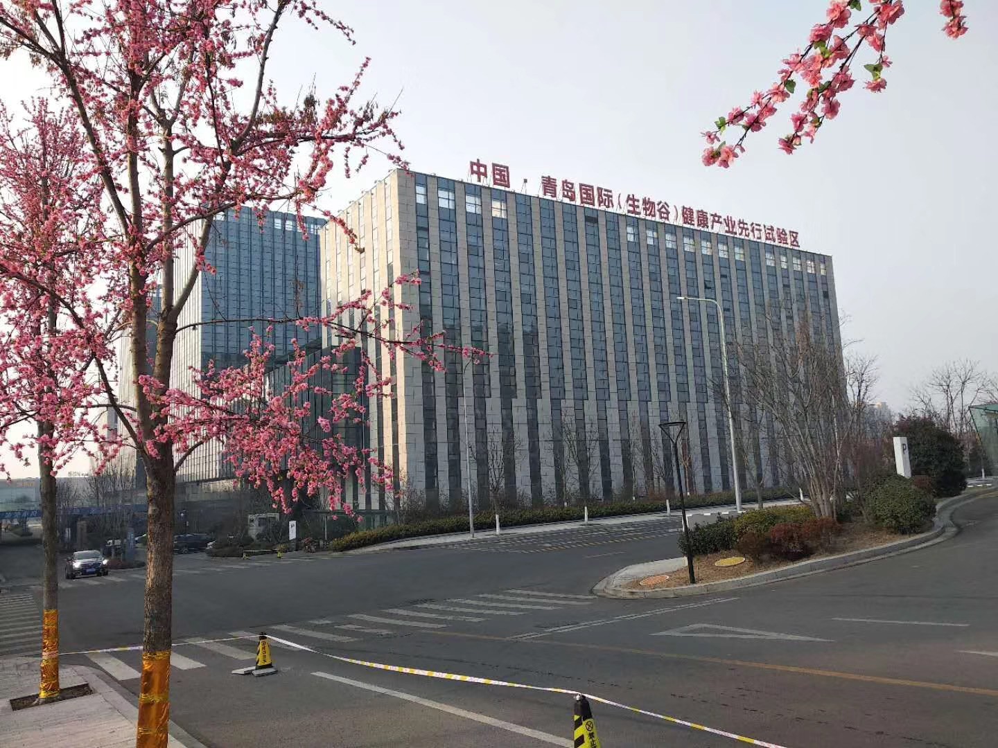 国际生物谷-干细胞基地