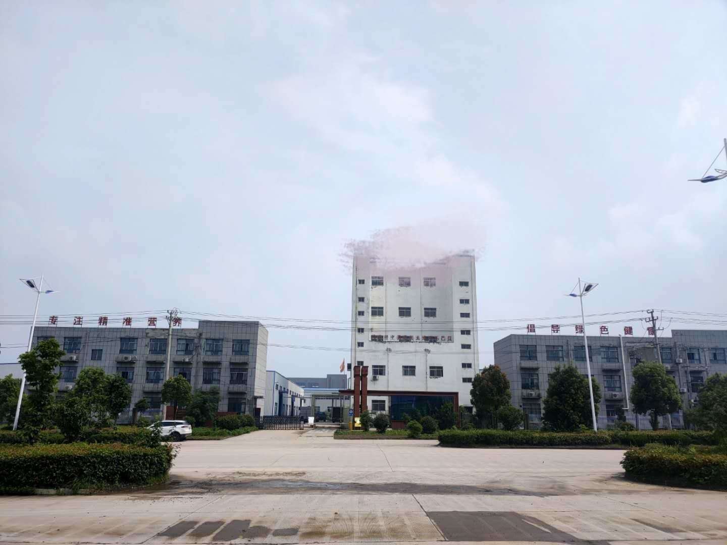 公司环境概况