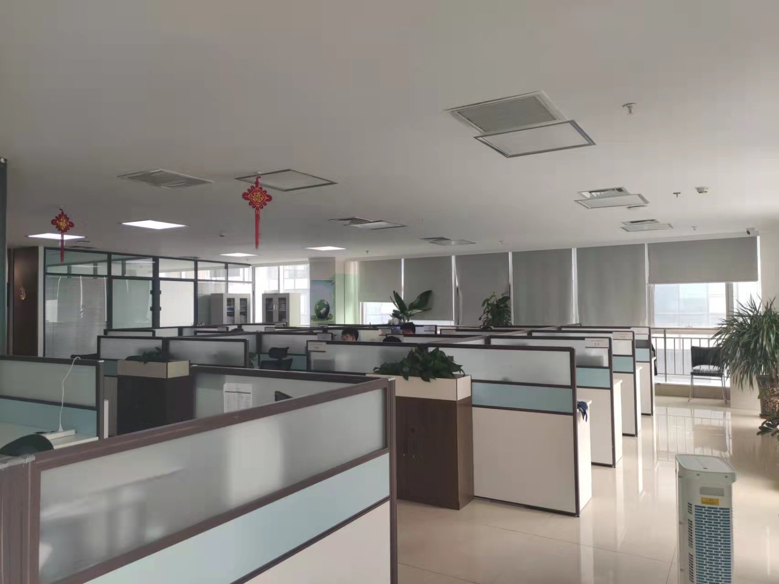 技术部门办公区域