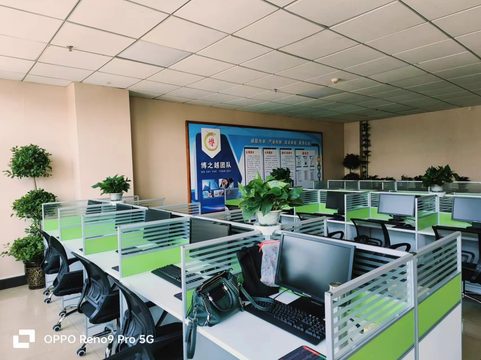 公司员工办公环境