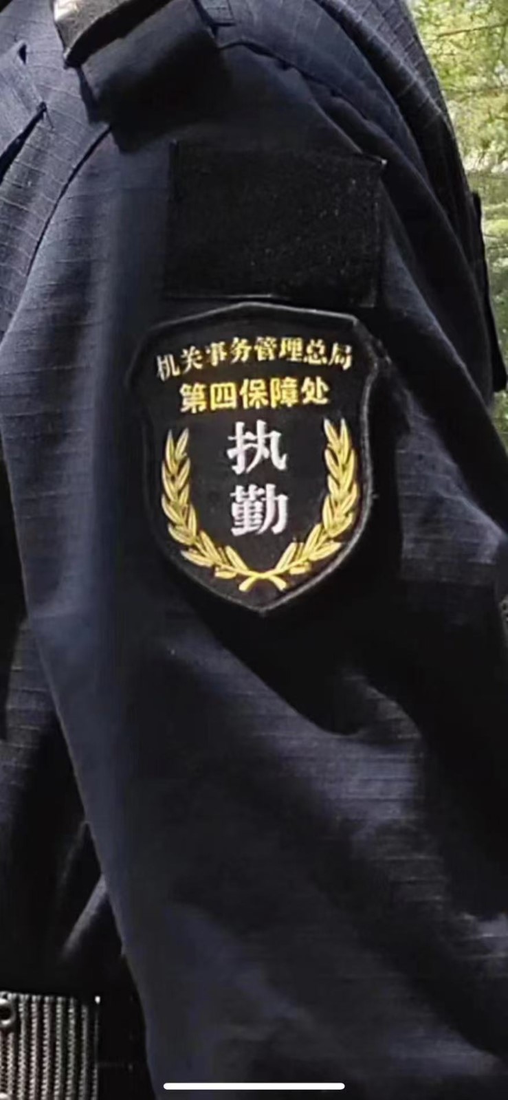 实习单位工作照