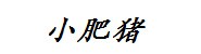 村造小肥猪科技重庆有限公司