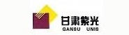 甘肃紫光智能交通与控制技术