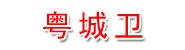 广东粤城卫保安服务有限公司