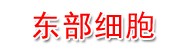 东部细胞治疗（山东）有限公