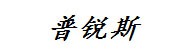 濮阳普锐斯石油工程技术服务