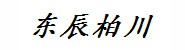 四川东辰柏川房地产经纪有限