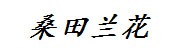南靖县桑田兰花种植场