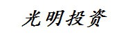 阿里城市光明投资有限公司