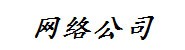 网络公司