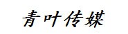 青叶文化传媒有限公司