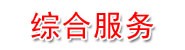银川高新技术产业综合服务有