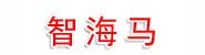 智海马科技公司