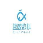 深圳蓝鲸数字科技有限公司（青岛公司）
