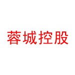 桂阳县蓉城控股集团有限公司