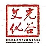武汉光谷文化产业股份有限公司
