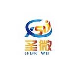 圣微人力资源有限公司