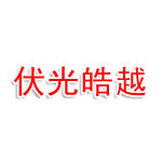 建德市伏光皓越新能源科技有限公司
