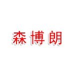 山西森博朗环保咨询服务有限公司