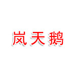 开封岚天鹅科技有限公司