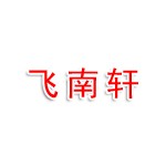 上海飞南轩科技有限公司