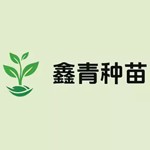 鑫青（潍坊）种苗有限公司