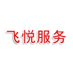 山东飞悦司机服务中心