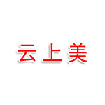 云上美美容服务有限公司