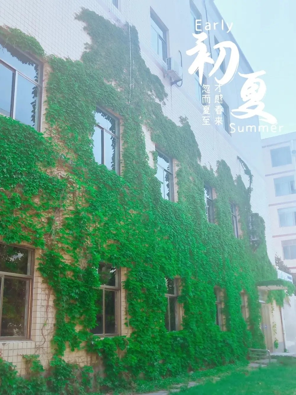 《初夏》（学校的夏）