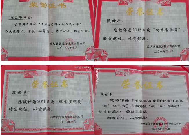 工作期间所获荣誉。
