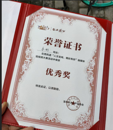 获奖证书1