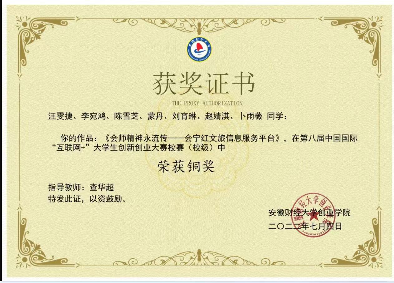 互联网+铜奖